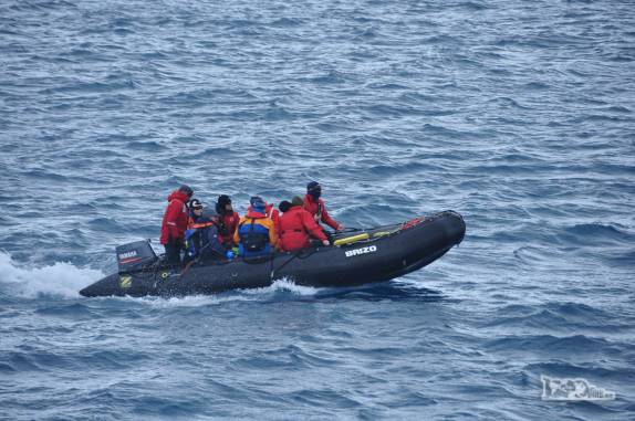 Como sempre, o zodiac com os guias é o primeiro a desembarcar em Salisbury Plain, na Geórgia do Sul